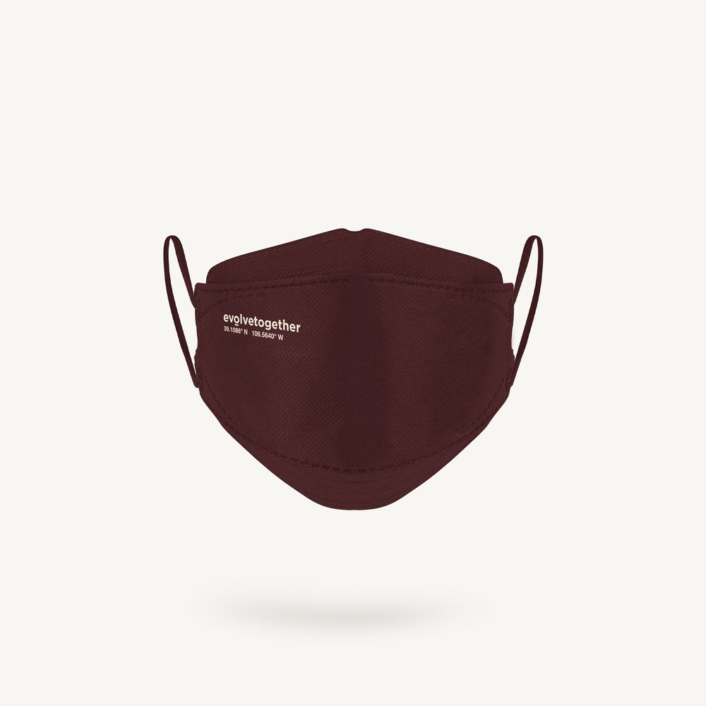 evolvetogether™ Burgundy Disposable KN95 Face Masks (5 Pack)